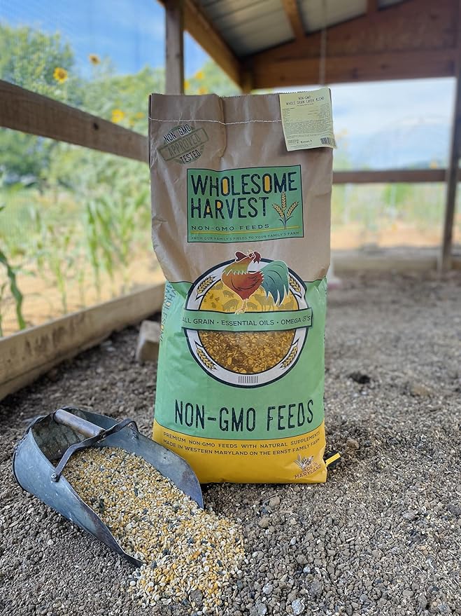 Non-GMO 40 lb Turkey Feed - Natural Peacock Game Bird &amp Bird Feed 24% High Protein Complete Food with Essential Oils Herbs Vitamins &amp Probiotics Formula for Healthy Flock Growth