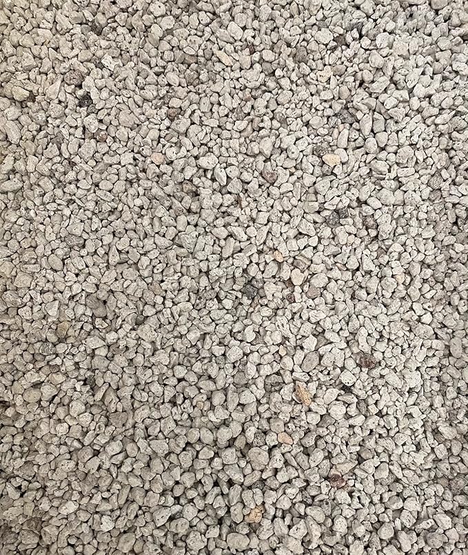 2 Gal. 1/8 Pumice for Seedling Cutting Propagatiion Cactus &amp Succulents Bonsai Tree Soil Mix - Shohin Grain Size