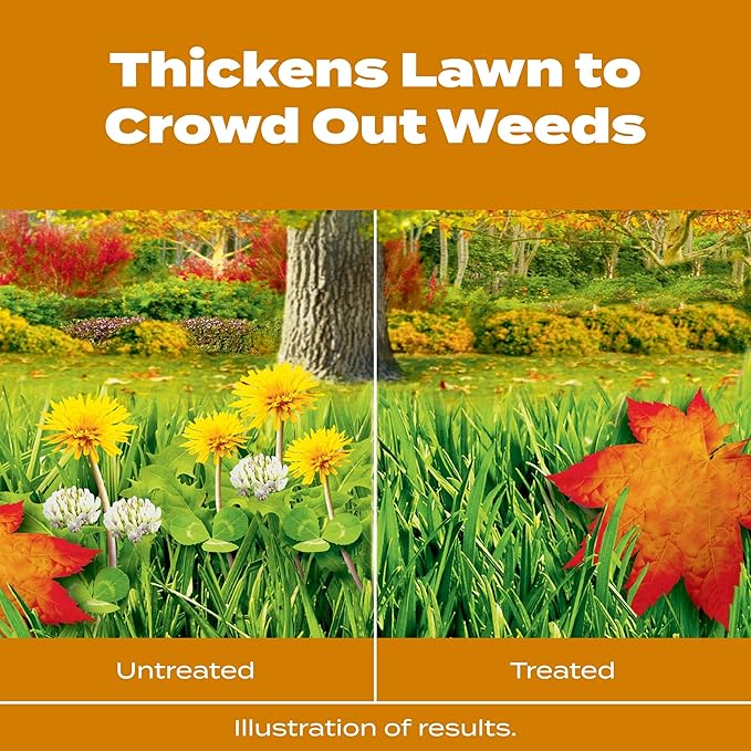 Scotts Turf Builder WinterGuard Fall Weed &amp Feed5 Weed Killer Plus Fall Fertilizer 4000 sq. ft. 11.28 lbs.