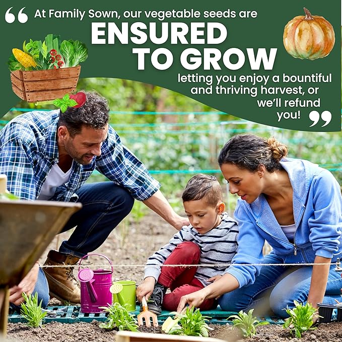 Fall &amp Winter Seed Variety Pack | 30 Invidiual Packs | 2026 Season | Non-GMO | Beets Arugula Carrots Lettuce &amp More! | for Planting Indoor &amp Outdoor | by Family Sown