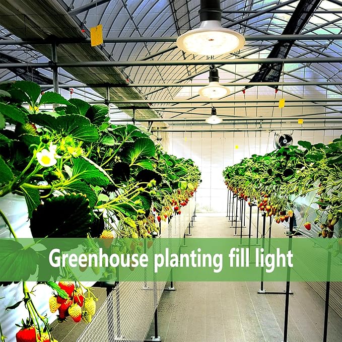 Outdoor LED Grow Lights Waterproof String Grow Light Full Spectrum Plant Growing Lights with 12Ft Adjustable Cord 3 Lights