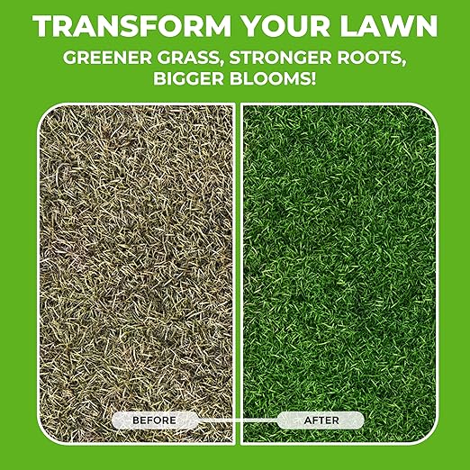 Covington 10-10-10 NPK Liquid Fertilizer (32oz) All Purpose Liquid 10 10 10 NPK - Lawn Food with Nitrogen Phosphorus Potassium Concentrate for Lawns Outdoor &amp Indoor Plants Vegetable Gardens