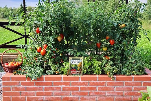 The Old Farmer's Almanac Tomato &amp Vegetable Plant Food Mini Spikes - NPK 6-4-6 for Continuous Feeding and Bountiful Harvests (72 Mini Spikes)