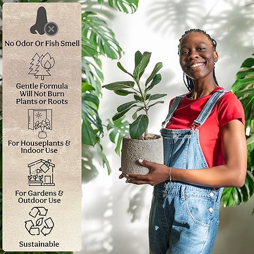 The All-in-One Complete Organic Plant Food Indoor Plant Food for Houseplants Organic Fertilizer for Vegetable Gardens 3lb =75 Formulated Servings Feeds 150 gal Instantly and Slow Release