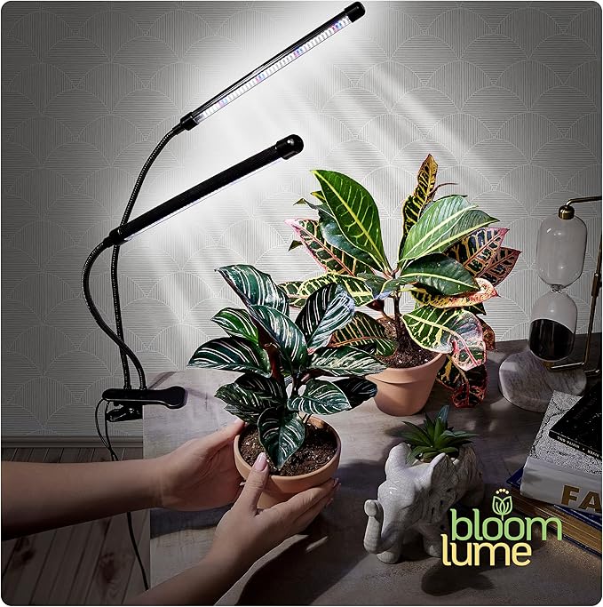 Bloom Lume LED Grow Lights for Indoor Plants Full Spectrum - Features Multi Mode Color Spectrums Dimmable Auto Timer Clip on Goosneck Plant Lamp