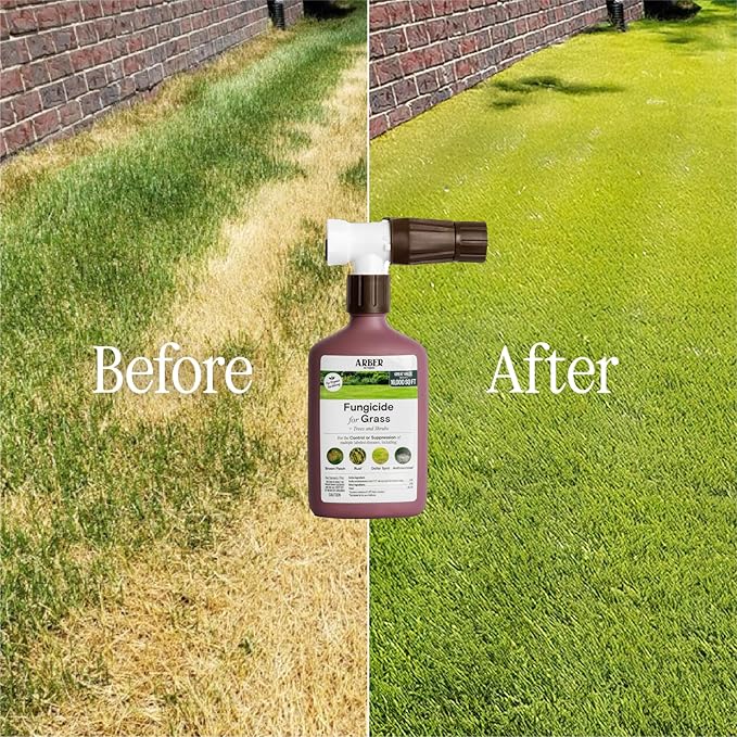 Organic Lawn Fungicide – 16oz Ready-to-Spray Hose-End Lawns Trees &amp Shrubs – Targets Brown Patch Dollar Spot Rust Powdery Mildew &amp Root Rot – Kid- &amp Pet-Safe Coverage up to 16000 sq