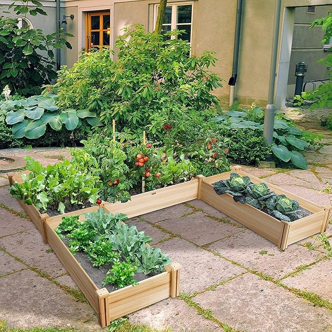 GRAFFY U-Shaped Wooden Raised Garden Beds Outdoor Wood Elevated Planter Box Garden Container for Vegetable Flower Planting Bed for Grass Lawn Patio Backyard