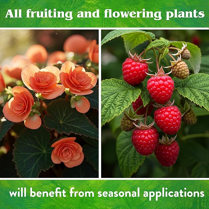 Down To Earth All Natural Fertilizers Organic Seabird Guano - High Phosphorus Plant Food for Buds Blooms Flowers 0-11-0 20 lb