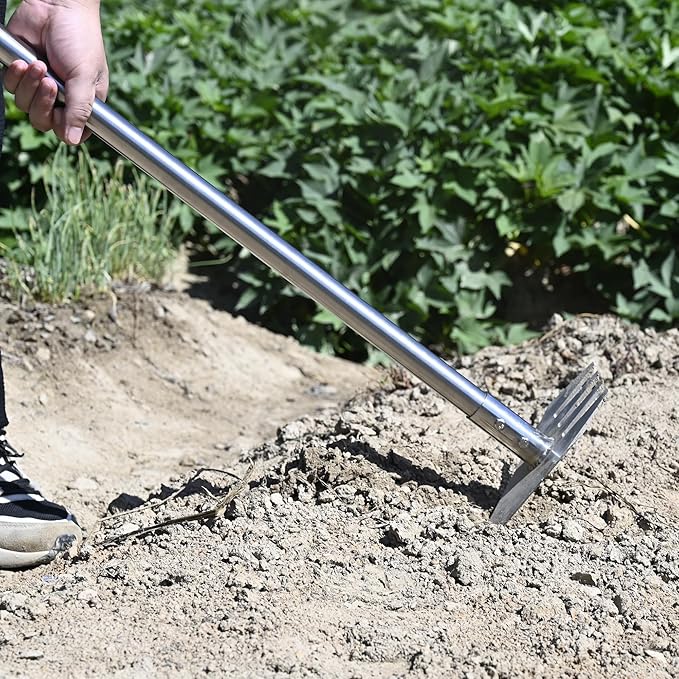 4-in-1 Garden Hoe Tool and Weeder 56 Inch Ergonomic Long Handle Cultivator with Sharp Stainless Steel Blade Heavy Duty Garden Hand Tiller for Weeding Digging Loosening SoilRemoving Moss