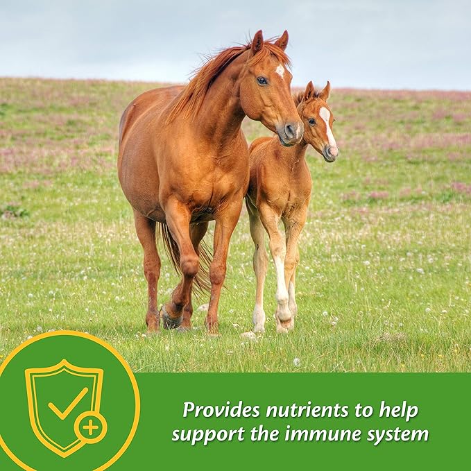 Farnam Grow Colt Supplement for Growth &amp Development Supports Normal consistent Growth in First Years of foal's Life 7.5 lbs. 60 Day Supply