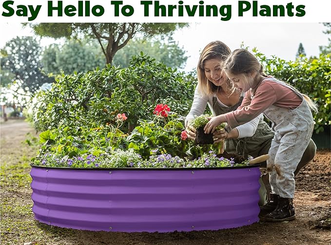 Plant &amp Plot Galvanized Raised Garden Beds Outdoor // 4×2×1 ft &amp 4×4×1 ft Planter Raised Beds for Gardening Vegetables Flowers // Large Metal Garden Box (Purple)