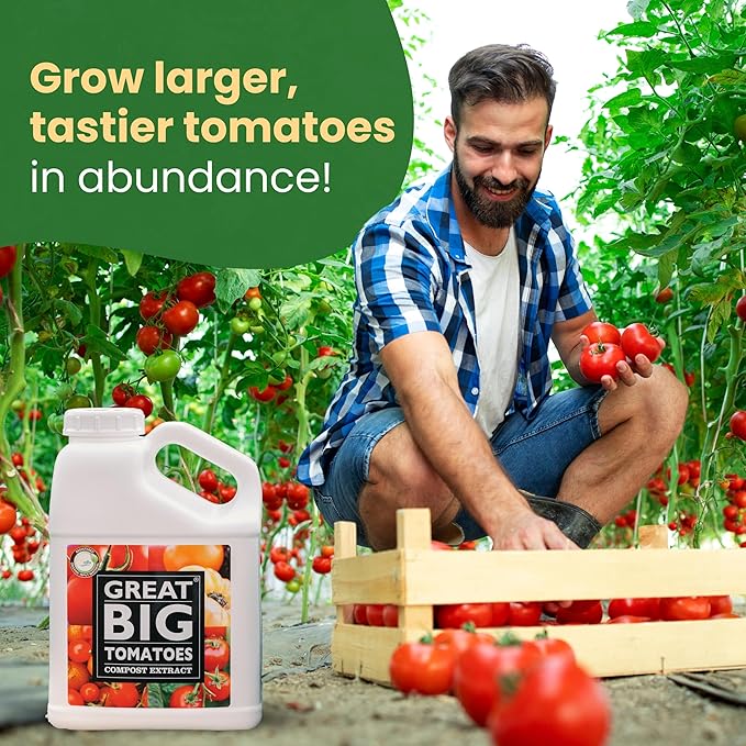 Great Big Tomatoes Soil &amp Fertilizer Booster for Big Vegetable Yields Better Fertilizer &amp Plant Food Efficiency and Garden Performance. Perfect for Beginners.1 Gallon Concentrate (Makes 32 G