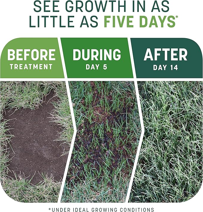 Pennington Smart Patch Sun &amp Shade North 30lb 600 sq. ft. Grass Seed Bare Spot Repair with Mulch and Fertilizer