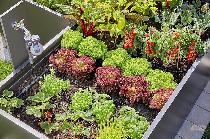 Gardena Micro-Drip-System Drip Irrigation Set Raised Bed/Bed (35 Plants): Starter Set Ready to use Water-Saving Irrigation System Simple &amp Flexible Connection Technology (13455-20)