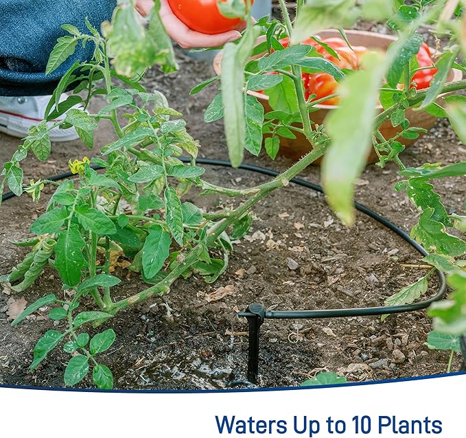 Orbit 91944 Tomato Garden Drip Irrigation System - Complete 10-Plant Watering Kit with Push-Connect Fittings Water-Saving Design for Vegetables &amp Garden Boxes