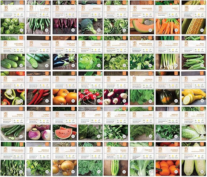Vegetable and Herb Seeds Variety Pack for Home Garden Planting AB