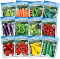 Ferry-Morse Vegetable Seed Bundle - Organic High Germination Rate GMO Free - 12 Pack