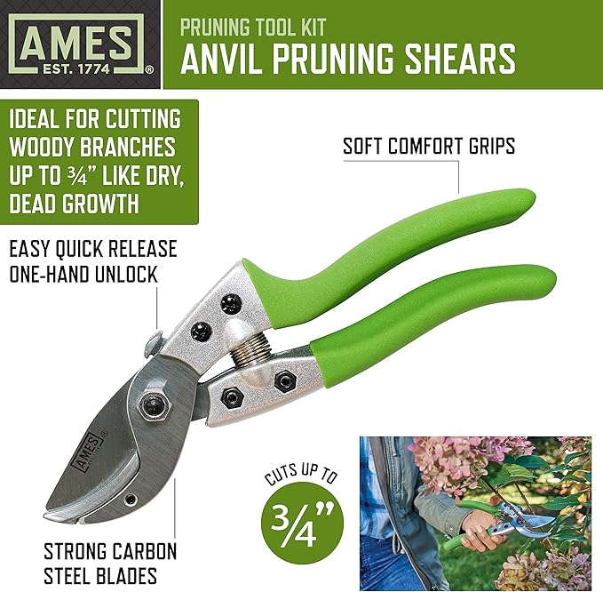 AMES 20213344 4-pc. Pruning Tools Kit with Bypass &amp Anvil Pruners Garden Snips Grass Shears &amp Canvas Case