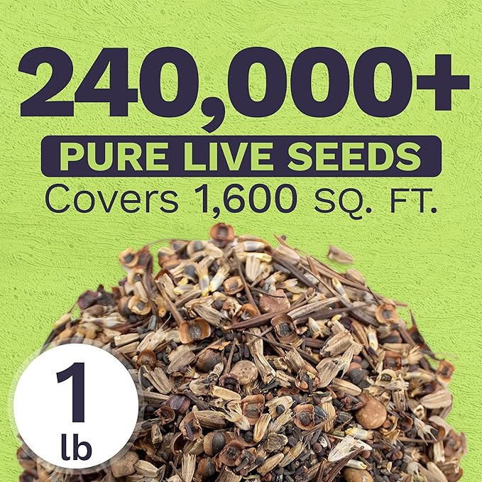 Texas Oklahoma Regional Mix Seeds for Planting - Bulk 1 Pound Bag - Over 240000 Native Seeds - Open Pollinated and Non GMO