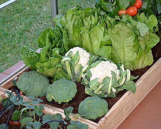 Palram Canopia Greenhouse Irrigation Kit for All Greenhouses