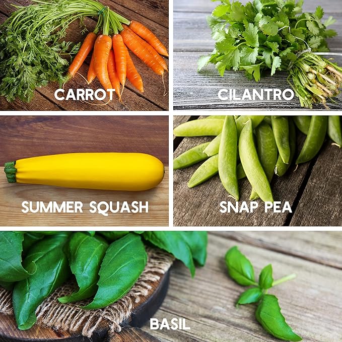 10 Assorted Organic Vegetable Seeds for Planting - ~3200 + Heirloom Non-GMO Fruit Seeds Herb Seeds &amp Vegetable Seeds - with Grow Guide - Broccoli Basil Watermelon Cilantro Carrot Kale &am
