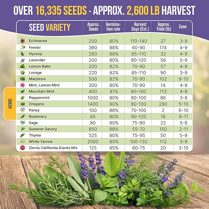 35 Medicinal &amp Tea Herb Seeds Variety Pack for Indoor &amp Outdoors. 16335+ Non-GMO Heirloom Garden Seeds: Anise Bergamot Borage Cilantro Chamomile Dandelion Rosemary Seeds &amp More