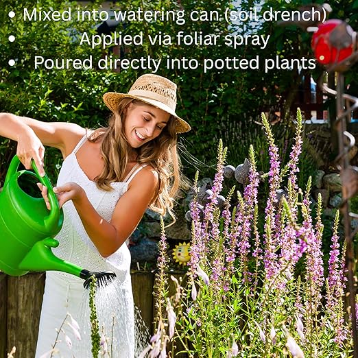Full Circle Premium Plant Tonic – 16oz Organic Liquid Fertilizer Concentrate with Worm Castings – Compost Tea for Indoor/Outdoor Plants Vegetables Houseplants Orchids Succulents