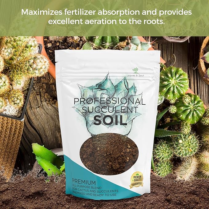 Extra Large 8.2 QT Bag Succulent Soil Premium All Purpose Blend | Pre-Mixed Ready to Use for Cactus and Succulents | Canadian Peat Course Sand Pinebark | Made in USA