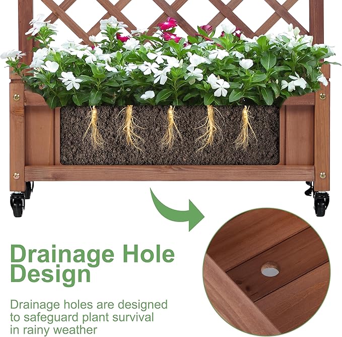 Raised Garden Bed with Trellies 2 Pack Outdoor Wooden Planter Box for Climbing Plants Vegetables Herb Growing
