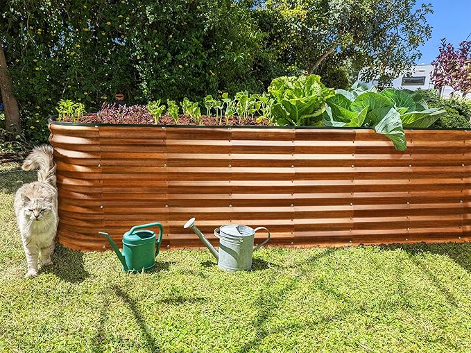 Plant &amp Plot Galvanized Raised Garden Beds Outdoor // 8×2×2 ft Planter Raised Beds for Gardening Vegetables Flowers (Dark Wood Grain) // Large Metal Garden Box // Patented Tool-Free Design
