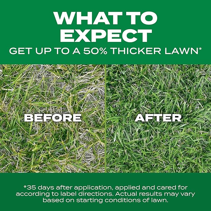 Scotts Turf Builder Thick'R Lawn Tall Fescue Mix Combination Seed Fertilizer and Soil Improver Thickens Thin Grass 12 lbs