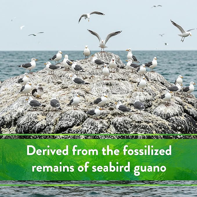 Down To Earth All Natural Fertilizers Organic Seabird Guano - High Phosphorus Plant Food for Buds Blooms Flowers 0-11-0 5 lb