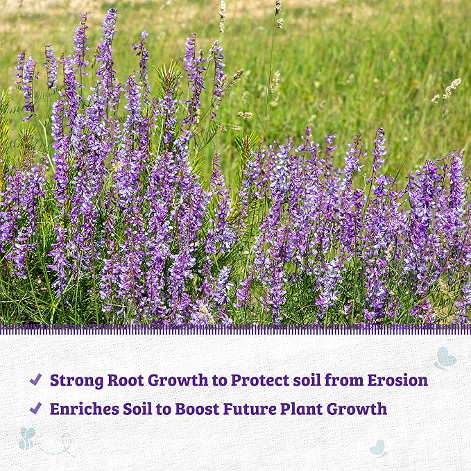 Back to The Roots 100% Organic Hairy Vetch Cover Crop Seeds Covers ~1000 sq. ft.