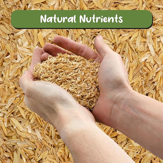 Soil Sunrise Organic Horticultural Grade Rice Hulls (8 Quarts) All-Natural Soil Amendment for Houseplants Gardening Seed Starting &amp Chicken Bedding