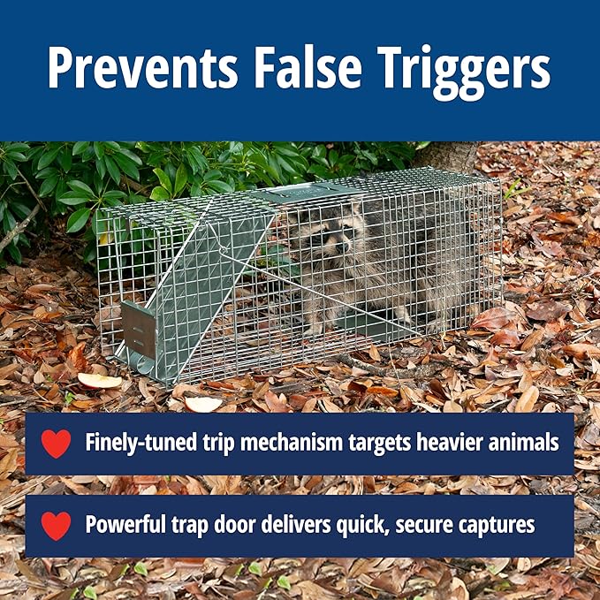HAVAHART 1079SR Large 1-Door Humane Catch and Release Live Animal Trap Cage - Live Raccoon Trap for Bobcats Beavers Dogs &amp More
