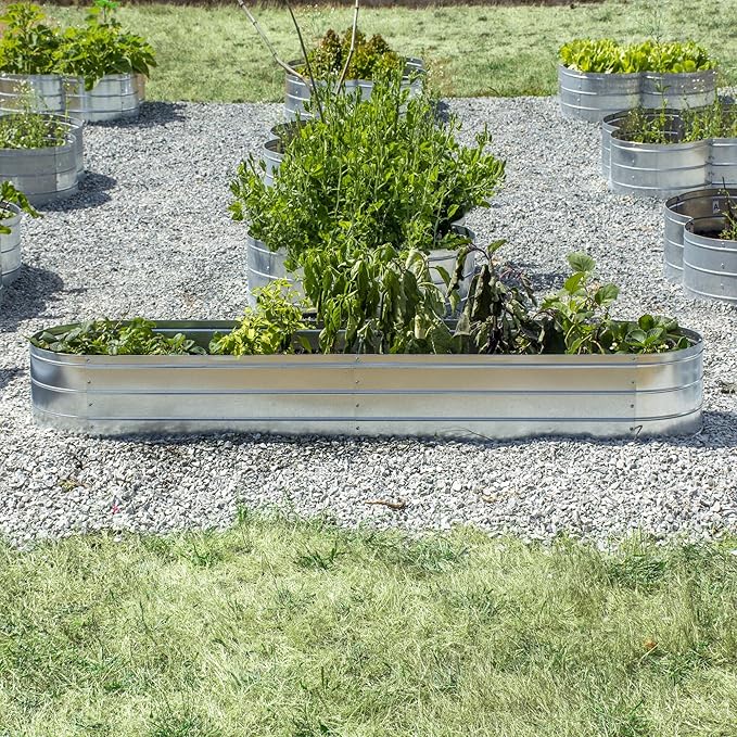 Grapevine Galvanized Steel Raised Garden Bed Oval 79IN Silver
