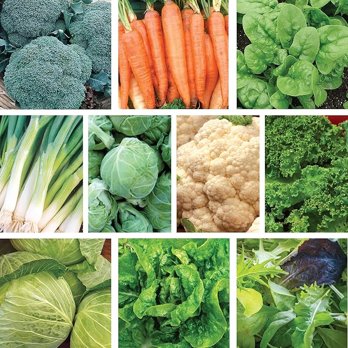 Ferry Morse Vegetable Seed Kit - Cold Hardy High Germination GMO Free - 10 Pack