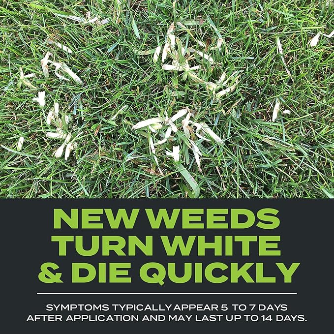 Scotts Turf Builder Triple Action Built For Seeding Weed Preventer and Fertilizer for New Lawns 4000 sq. ft. 17.2 lbs.