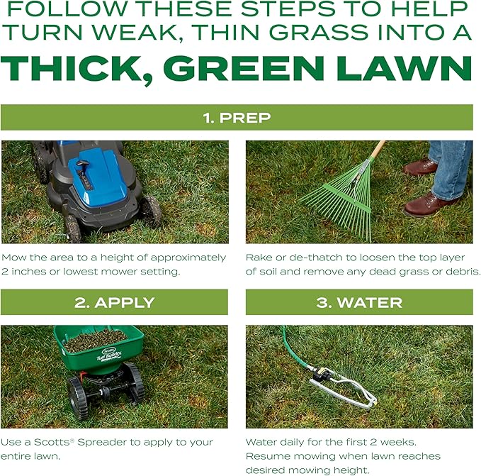 Scotts Turf Builder Thick'R Lawn Tall Fescue Mix Combination Seed Fertilizer and Soil Improver Thickens Thin Grass 12 lbs