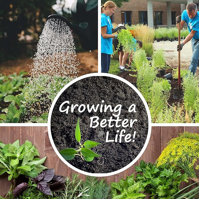 22000 Non GMO Heirloom Vegetable Seeds Survival Garden Emergency Seed Vault 34 VAR Bug Out Bag - Beet Broccoli Carrot Corn Basil Pumpkin Radish Tomato More