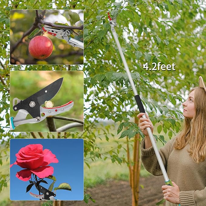 GARTOL Cut &amp Hold Pole Pruner 4.2 FT Lightweight Fruit Picker with 180° Rotating Handle SK5 Steel Blade Cuts up to 1/2 Inch Long Reach Garden Tree Trimmer &amp Branch Cutter for Shrubs Bushes