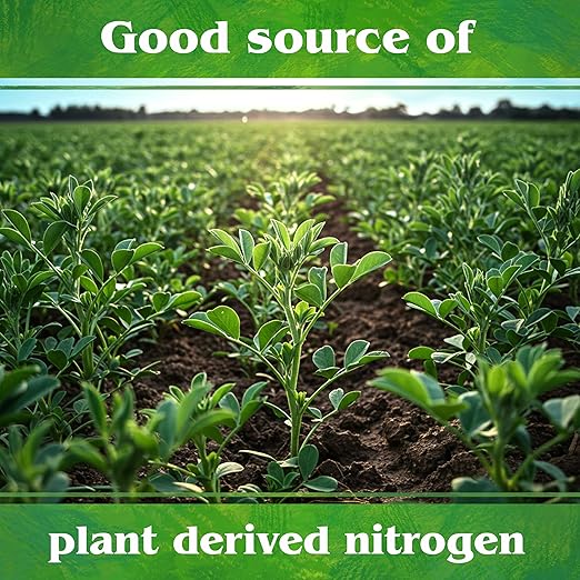 Down To Earth All Natural Fertilizers Organic Alfalfa Meal - Plant Food for Roses Bulbs Flowers and Ornamentals 2-0-1 4 lb (2 Pack)