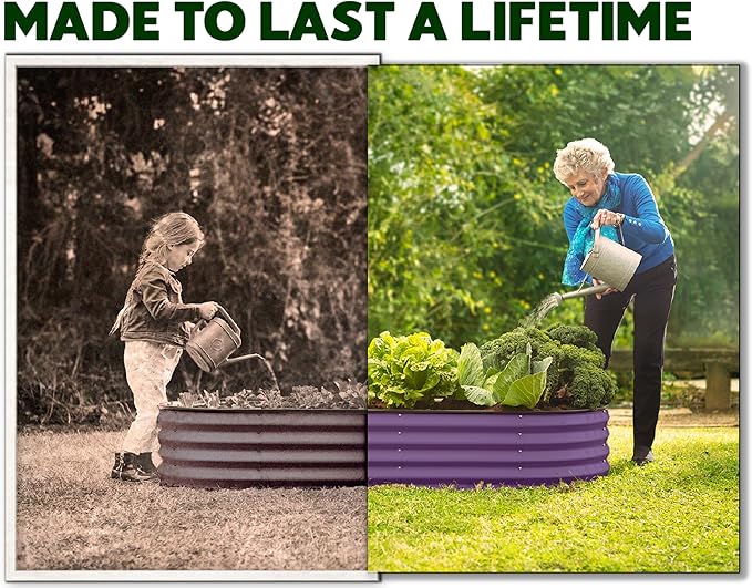 Plant &amp Plot Galvanized Raised Garden Beds Outdoor // 4×2×1 ft &amp 4×4×1 ft Planter Raised Beds for Gardening Vegetables Flowers // Large Metal Garden Box (Purple)