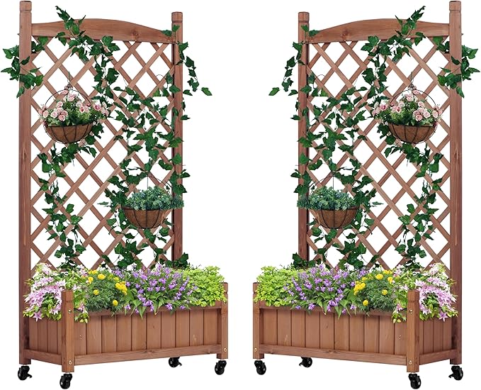 Raised Garden Bed with Trellies 2 Pack Outdoor Wooden Planter Box for Climbing Plants Vegetables Herb Growing