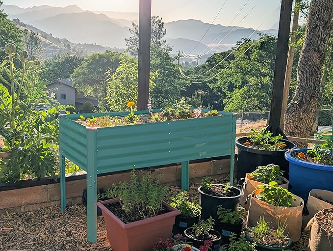 Galvanized Raised Garden Beds Outdoor with Legs // 48×24×31in Elevated Planter Box for Vegetables Flowers (Turquoise) // Large Metal Garden Bed for Backyard Patio Gardening