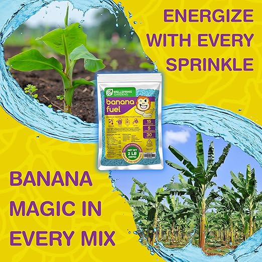 Wellspring Gardens Banana Fuel Fertilizer - Water-Soluble 15-5-30 Blend - Fertilizer for Banana Trees &amp Plants - Grow Healthy Plants (2 Pounds)