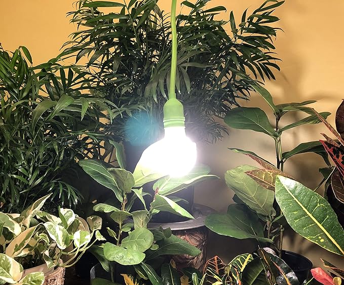 Miracle LED Single-Socket 6ft Corded Indoor Greenhouse Kit with Full Spectrum Ultra Grow Light Replacing 150W (2-Pack)