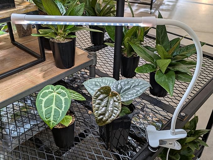 プロトリーフ Protleaf CL5K06W-S Solar Plant Growing LED Stand Type Plant Light Solar LED Timer Function 4 Levels of Dimming Clip Mounting House Plants Succulent Plants
