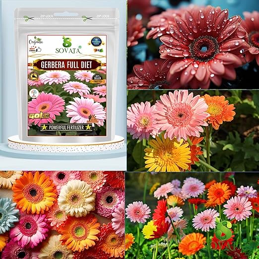 Sovata® Gerbera Full Diet Powerful Organic Fertilizer for heavy flowering and fast growth of Gerbera Plants. (400 gm)