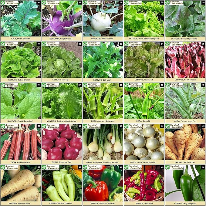 Garden Heirloom Seed Vault 100 Variety Over 17500 Vegetable Fruit and Herbs Seeds Non-GMO Non-Hybrid Plus Free Microgreens Kit